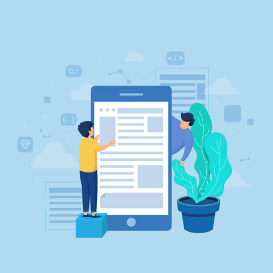 online media management Online Media Management 540x540