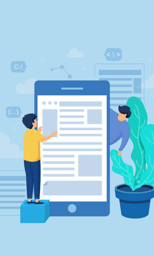 Online Media Management 540x894